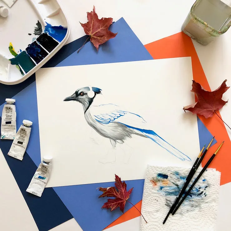 Blue Jay in Boots Print (8" x 10")